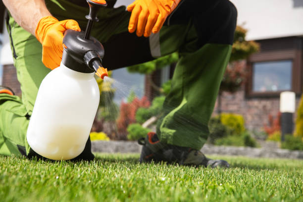 Best Best Pest Control Companies  in Hallstead, PA