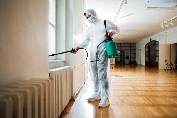 Best Affordable Pest Control Services  in Hallstead, PA